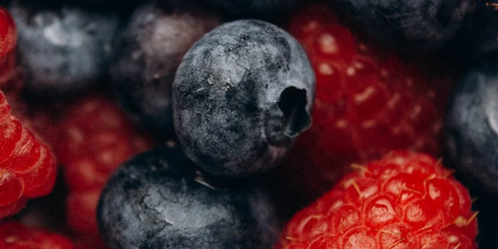 Close-up of fresh berries, including blueberries and raspberries