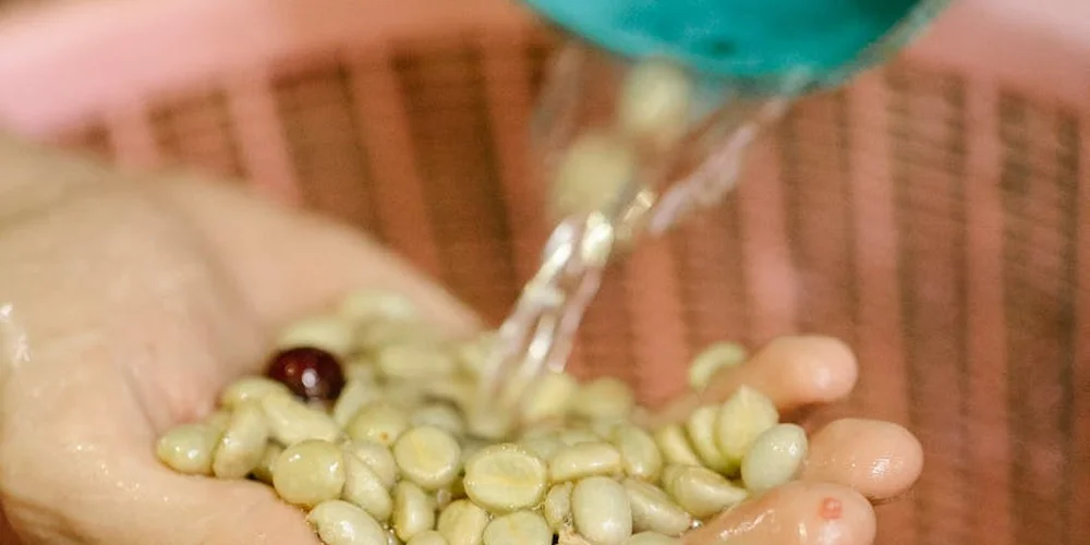 Close-up of bio-media pellets being rinsed with water during turtle tank filter maintenance