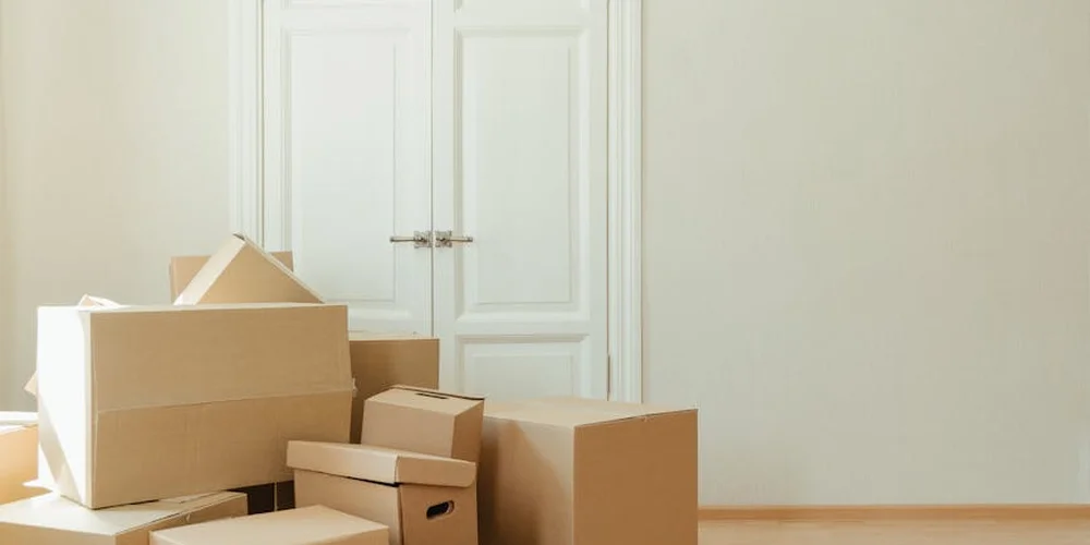 A pile of cardboard boxes scattered in a bright room, symbolizing hidden costs in box turtle ownership.