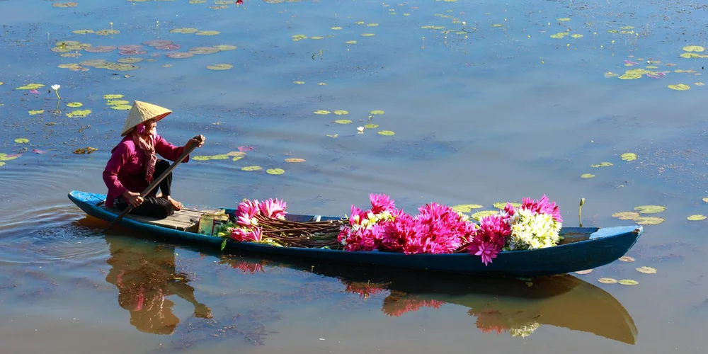 Person wearing a traditional conical hat paddling a small canoe on a calm pond with pink water lilies