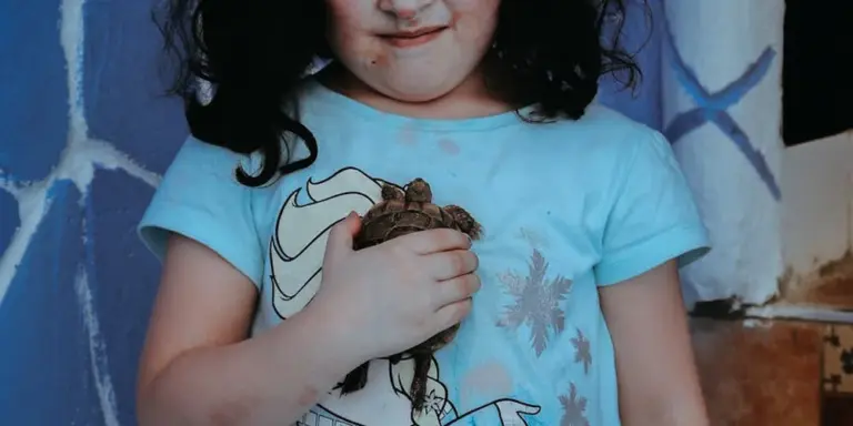 A young child in a blue shirt gently holding a small turtle