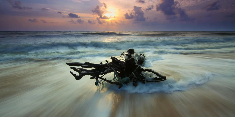 Driftwood on a sandy beach at sunset with waves washing over the shore