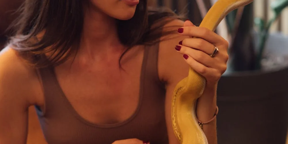 Person in a brown sleeveless top holding a bright yellow snake around their arm