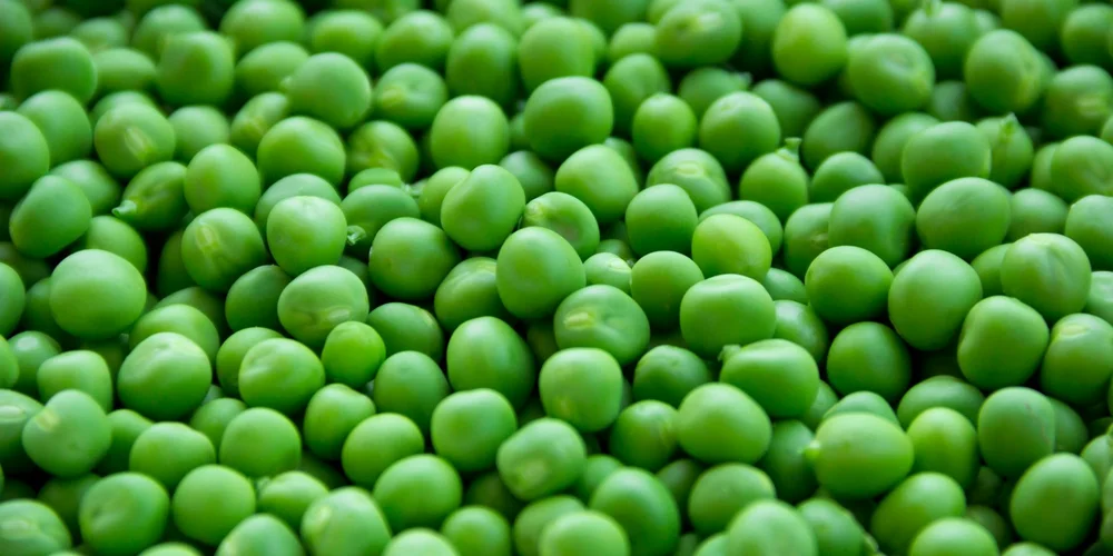 Close-up of fresh green peas in a pile