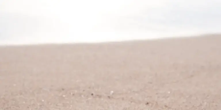 A quiet sandy beach with gentle waves in the distance, illustrating a typical green sea turtle nesting habitat.