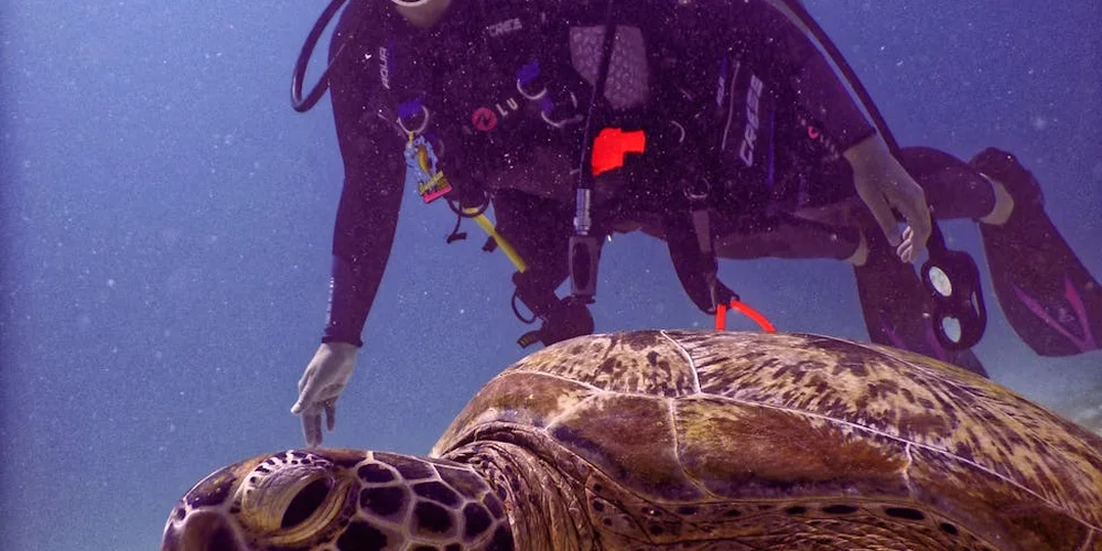 An underwater scene showing a scuba diver beside a sea turtle, highlighting the turtle's tail and body shape as they swim together.