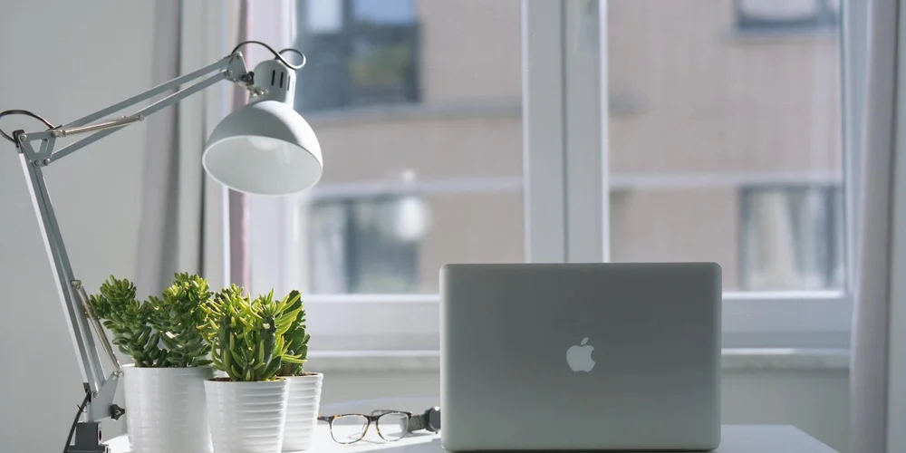 Indoor desk setup with a metal adjustable lamp, potted plants, and a laptop near a window, illustrating desk lighting and potential issues with lamp placement relative to a basking area.