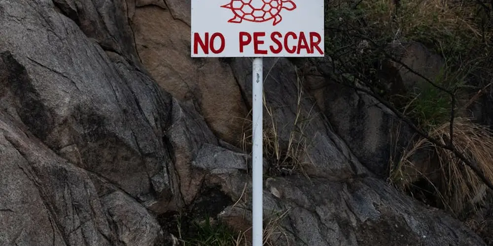 A sign reading 'NO PESCAR' with a red turtle illustration, mounted on a metal pole against a rocky backdrop.
