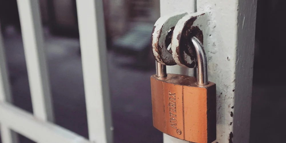 Close-up of an orange padlock securing a metal gate on a fence, illustrating enclosure security for a tortoise.