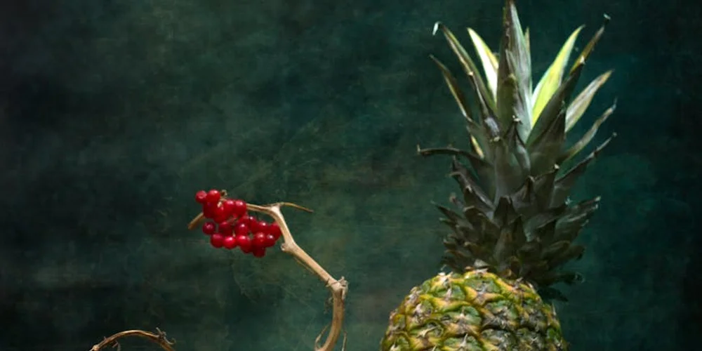 Pineapple with a small branch of red berries against a dark green background.