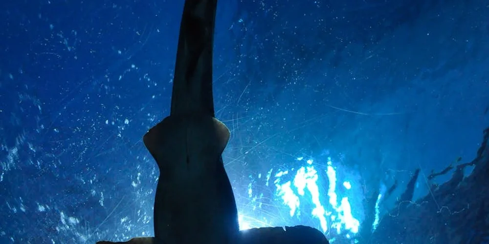 Underwater silhouette of a large shark swimming in deep blue ocean water.
