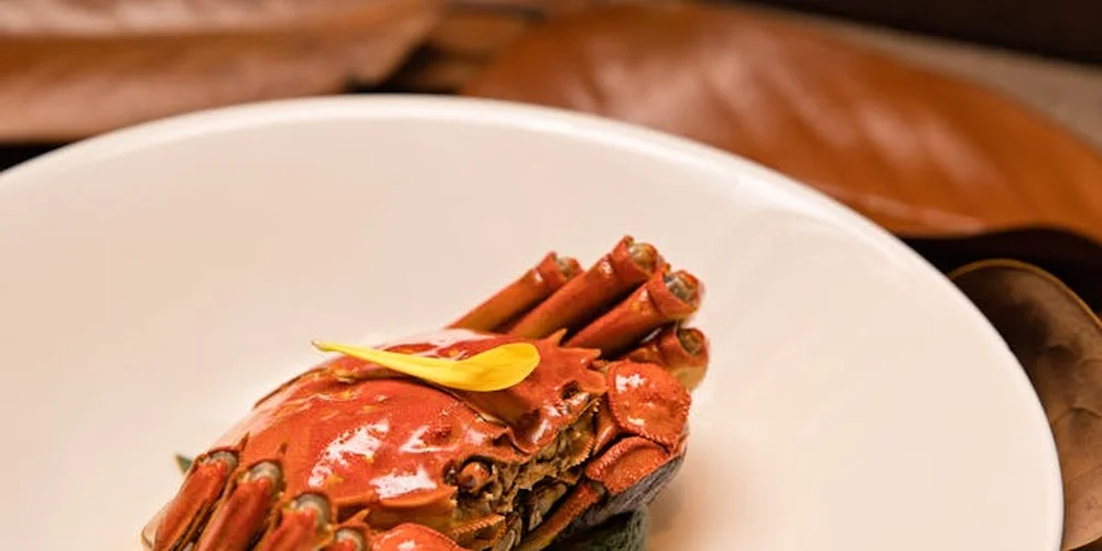 Cooked crab presented on a white plate