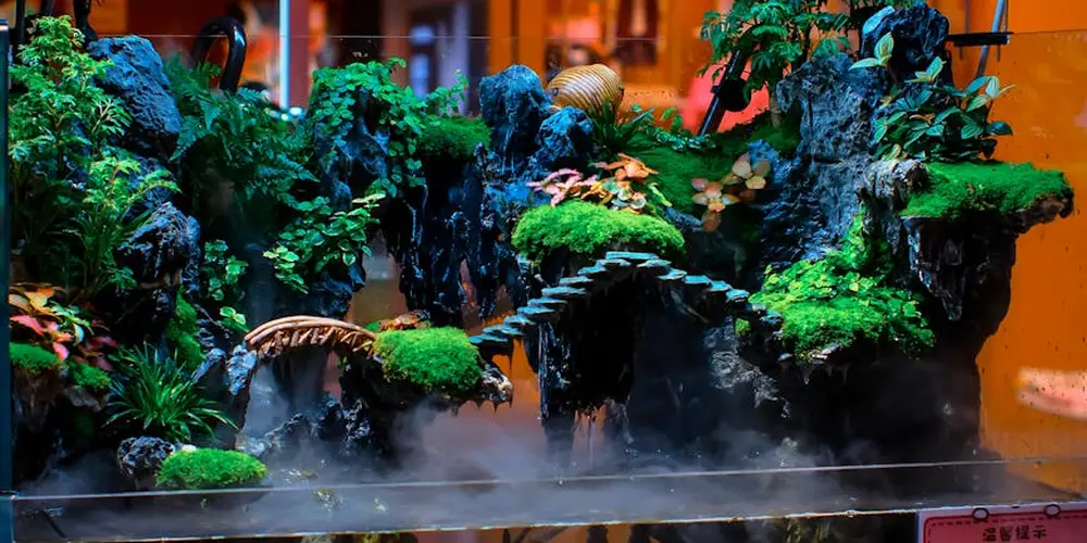 Turtle tank with decorative rocks, lush green plants, a rope bridge, and light mist near the water surface illustrating a setup aimed at clearer water.