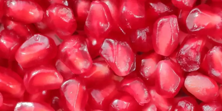 Close-up of bright red pomegranate arils