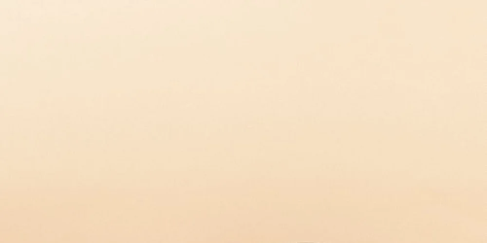 Plain beige wall with a soft gradient, representing a minimal turtle enclosure backdrop.