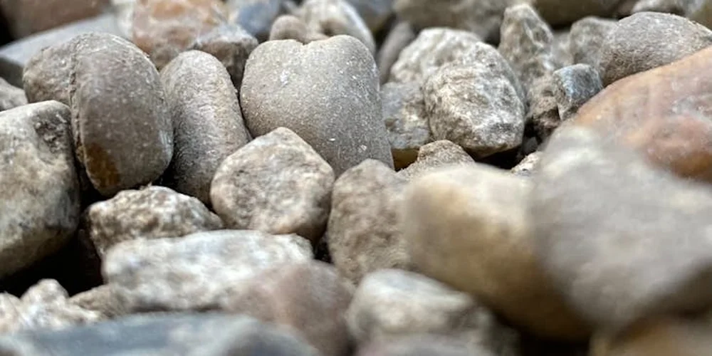 Close-up of smooth gray and tan river pebbles