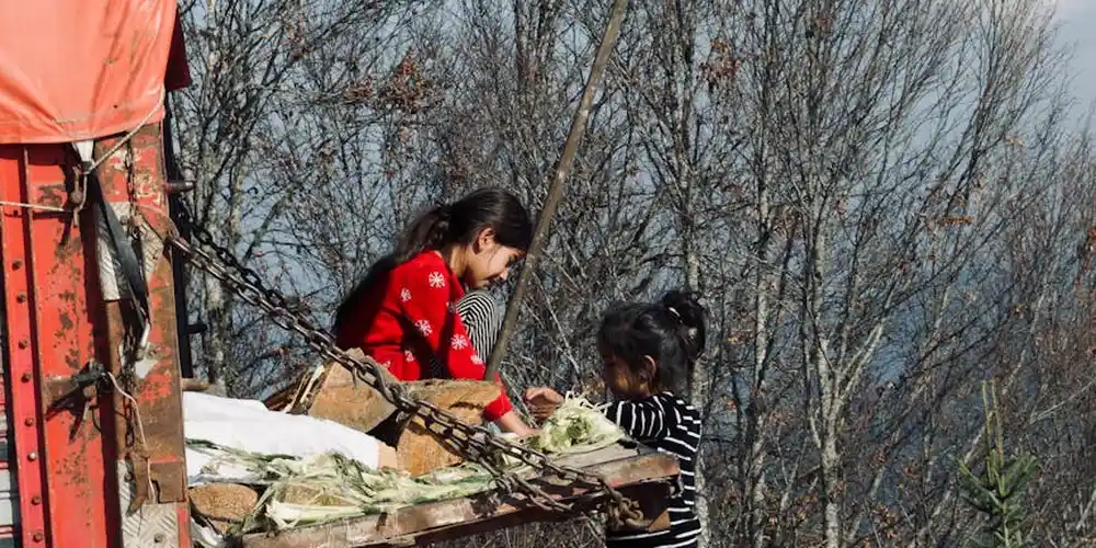 Two people selecting leafy greens for a meal, with a basket of vegetables, illustrating how turtle diets can be tailored by species and age.