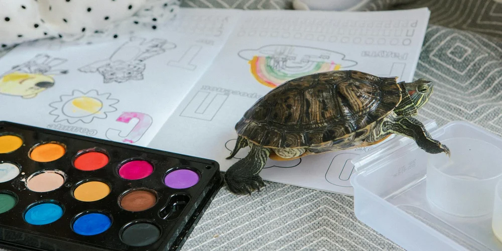 A small turtle on a patterned gray surface beside a watercolor paint palette and scattered papers.