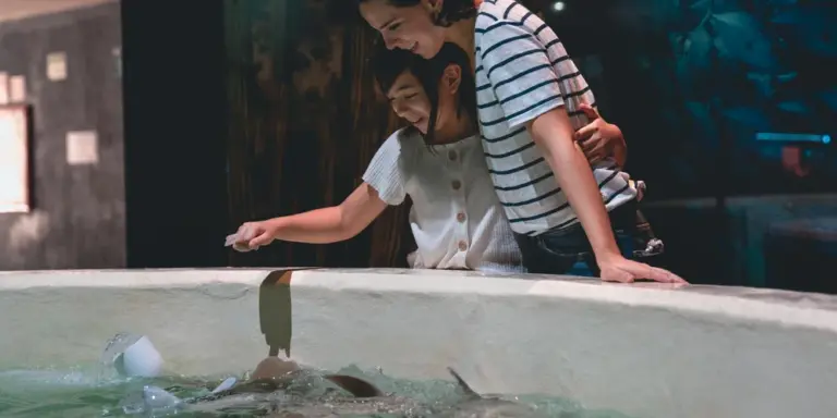 Two people leaning over a shallow turtle enclosure, inspecting the habitat.