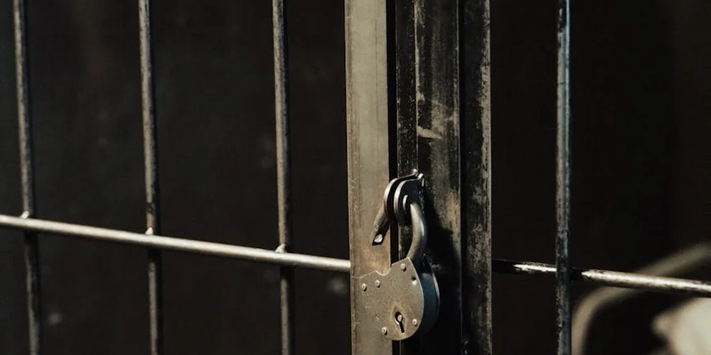 Close-up of a metal turtle enclosure latch securing a cage, illustrating secure housing.