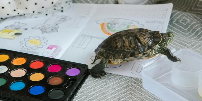 A small pet turtle crawls on a table next to a watercolor palette and drawing papers.