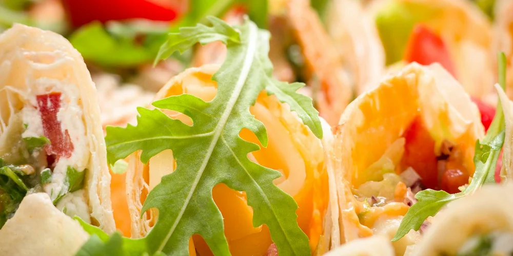 Close-up of colorful vegetable wraps filled with leafy greens, suggesting fresh, turtle-safe human foods.