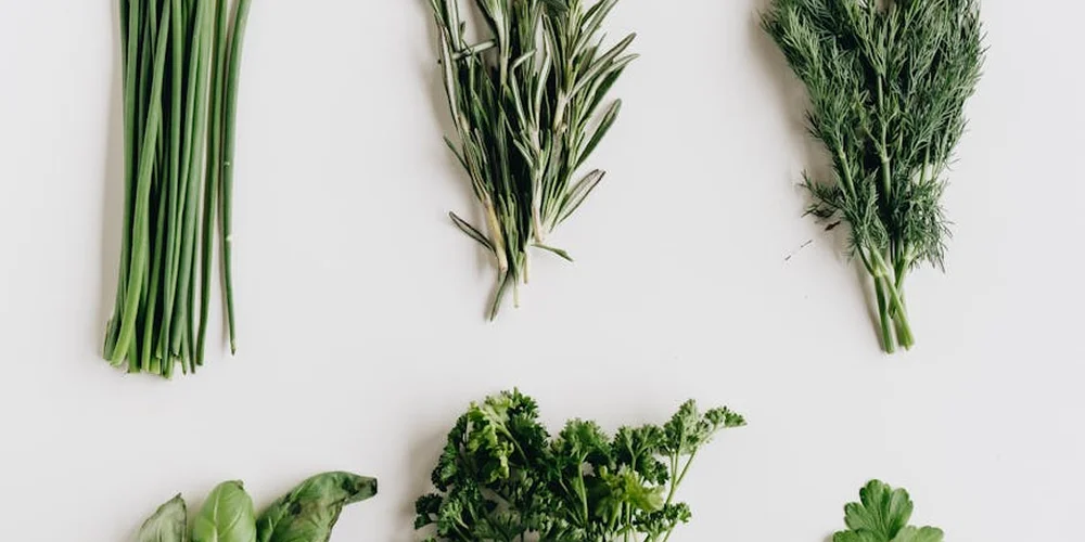 Assorted fresh herbs on a white background, including rosemary, thyme, dill, and parsley.
