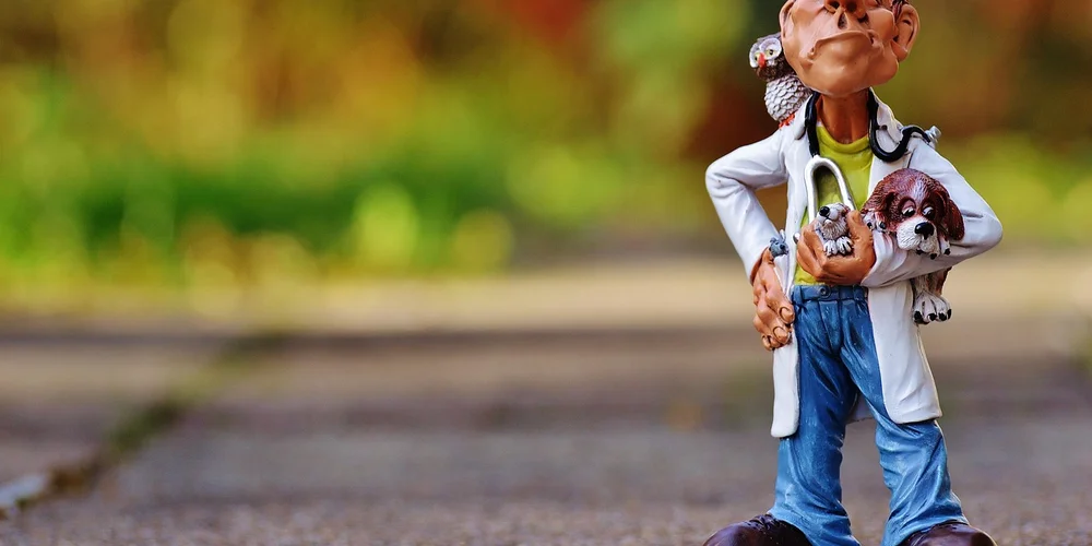 Cartoon vet figure with a small turtle on his shoulder, set against a park-like background.