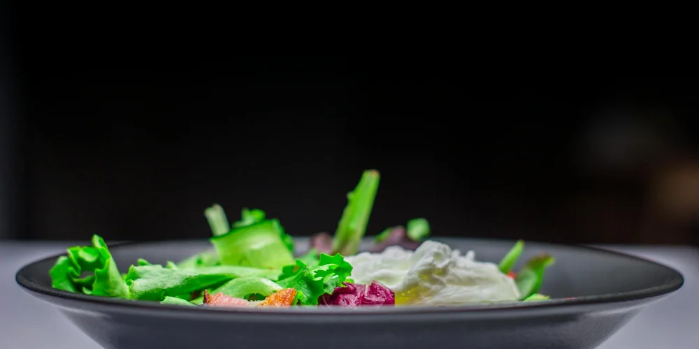 Shallow black bowl filled with fresh leafy greens for turtles, including romaine and mixed greens.