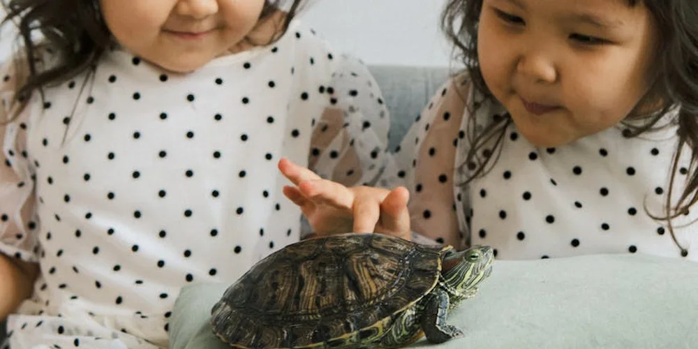 Two young children in white polka-dot shirts observe a turtle on a light-colored sofa.