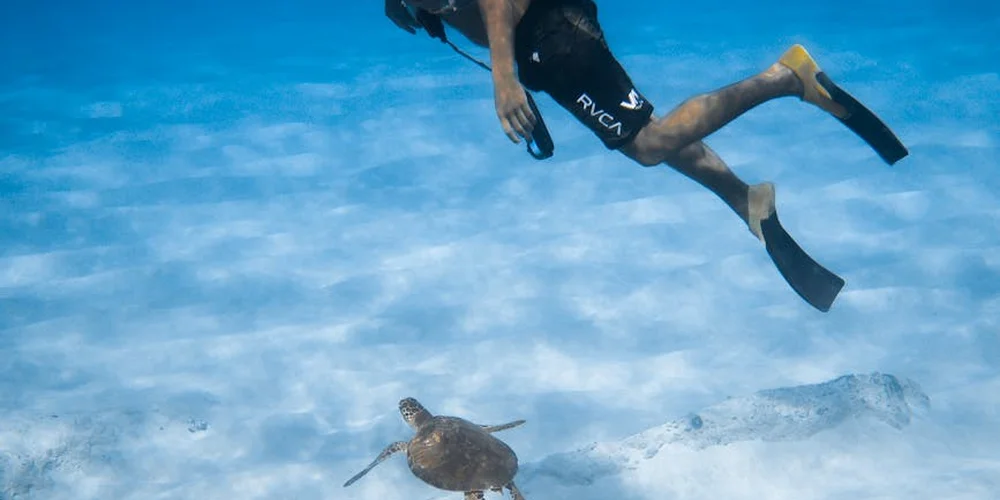 A snorkeler swims underwater beside a sea turtle in clear blue water.