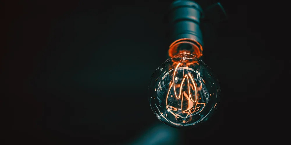 UVB Lighting for Turtles: A Vital Guide for Health and Setup