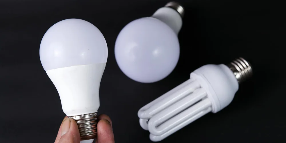 Three UVB bulbs of different shapes: an A-shaped bulb on the left, a rounded globe in the background, and a compact fluorescent lamp with multiple tubes on the right.