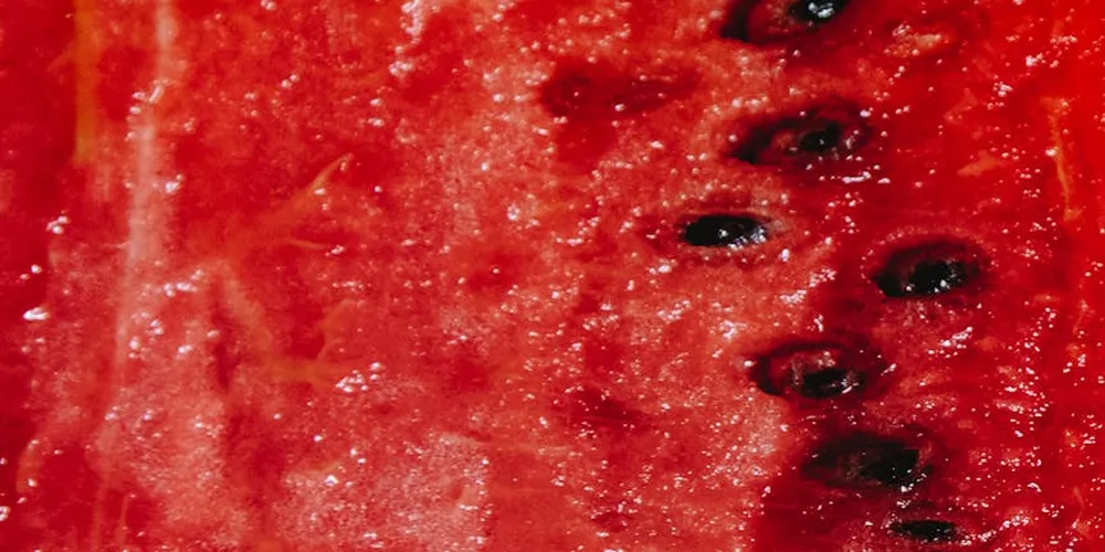 Close-up of watermelon flesh with black seeds